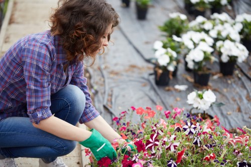 Team creating an eco-friendly waste disposal area in a Swiss Cottage garden
