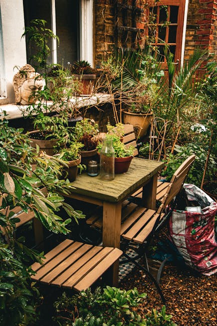 A small urban garden terrace featuring neatly trimmed low hedges bordering a paved pathway with raked gravel, flowering plants in raised wooden beds, and patches of vibrant green grass. In the backgro