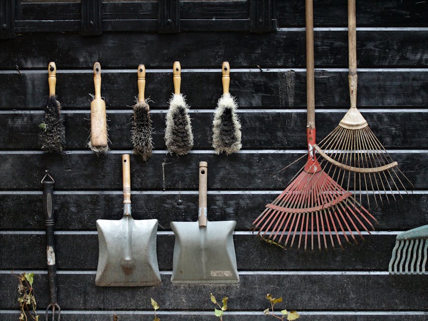 A collection of gardening tools hangs on a dark wooden fence, including five small, stiff brushes with wooden handles and bristles covered in dried moss or soil, alongside two metal shovels with woode
